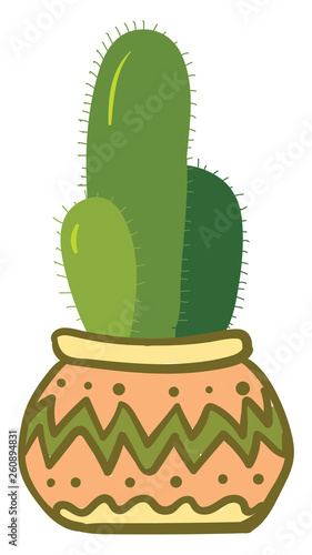 Three linear-shape cacti in a beautiful decorated earthen pot provides extra style to the space occupied vector color drawing or illustration