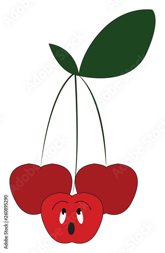 Three cherry fruits hanging from a single branch looking at different directions vector color drawing or illustration
