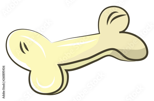 A dog chew toy or part of a big animal vector color drawing or illustration