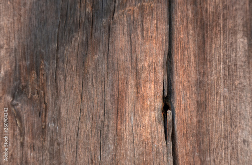 wood texture, background old panels
