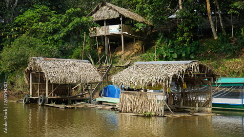 Yasuni Amazonia Ecuador 