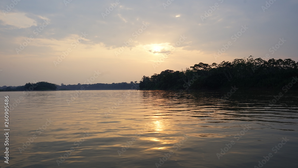 Yasuni Amazonia Ecuador 