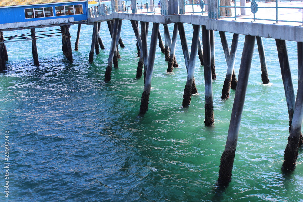 The pilings under the pier give habitat the many fish and shell fish , especially muscles.