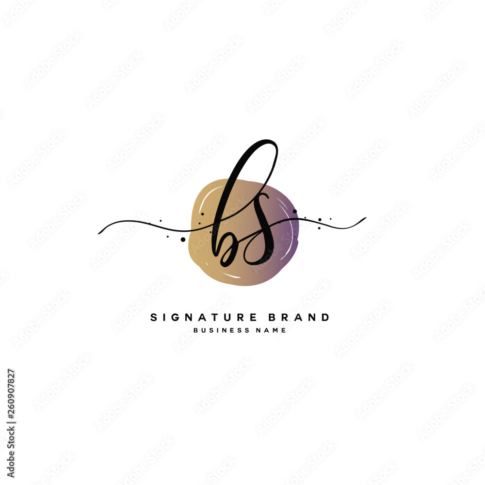 B S BS Initial letter handwriting and signature logo. B S BS Initial letter handwriting and signature logo.