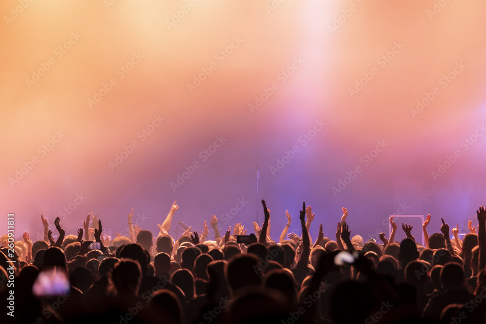 audience at rock concert