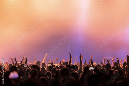 audience at rock concert