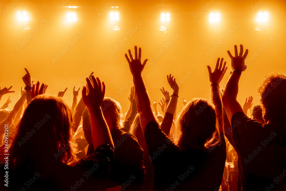 audience at rock concert audience at rock concert