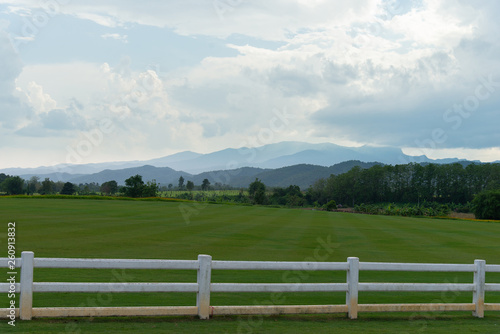 White fence, grassland and mountains.