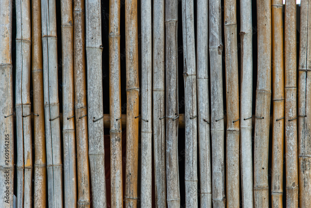 bamboo wall background bamboo wall background