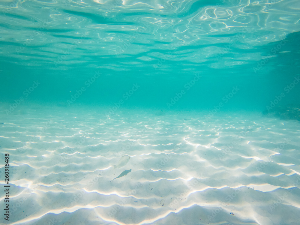 tropical blue ocean underwater background - luxury nature pattern