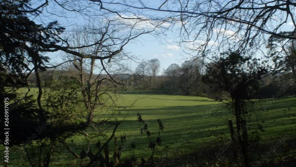 A beautiful view of a meadow whilst walking through the woods. A beautiful view of a meadow whilst walking through the woods.