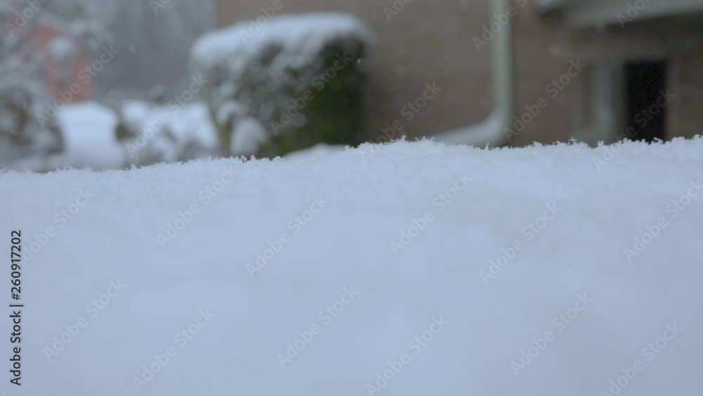 Panning shot of snow fall in slow motion from a low angle, showing amazing and crisp detail of the flakes falling into view and impacting the surface of the ground. Panning shot of snow fall in slow motion from a low angle, showing amazing and crisp detail of the flakes falling into view and impacting the surface of the ground.