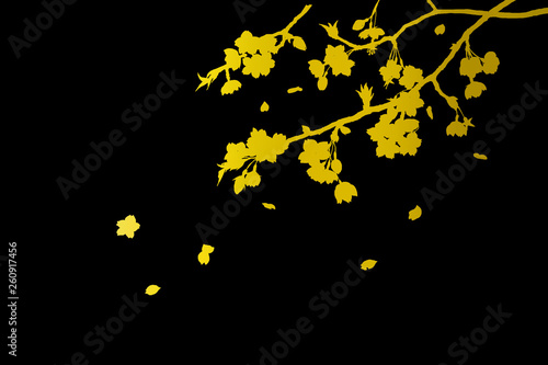 櫻金蒔絵漆器仕立ての壁紙　cherry blossom  gold silhouette art