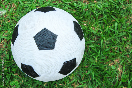 soccer ball lies on the green grass of the lawn
