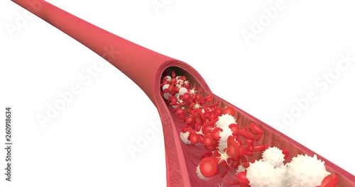 3D animation of a bloodstream with red cell white cell and platelet
