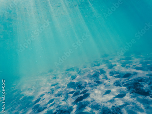 tropical blue ocean underwater background - luxury nature pattern