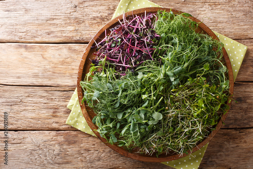 Homemade fresh microgreen from peas, cilantro, mustard, radish close-up on a plate. horizontal top view photo