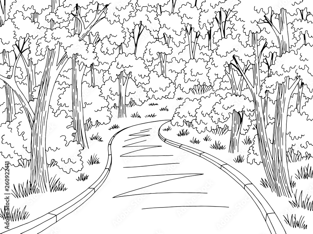 Forest road graphic black white landscape sketch illustration vector