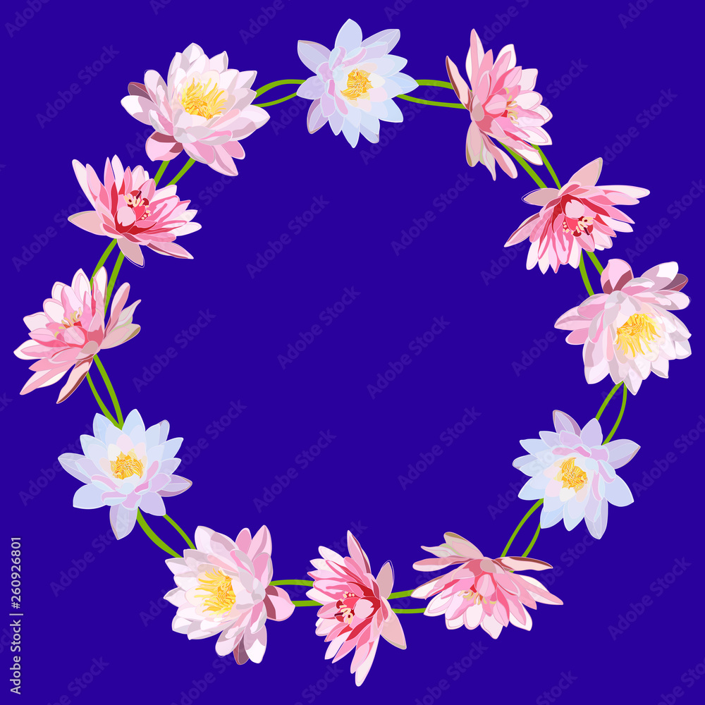 wreath of large white and pink water lilies on blue background