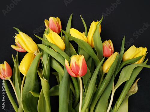 Bright fresh yellow and orange spring flowers tulips on a black background isolated.