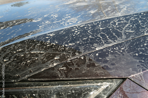 Splashes of mud on the hood of a car photo