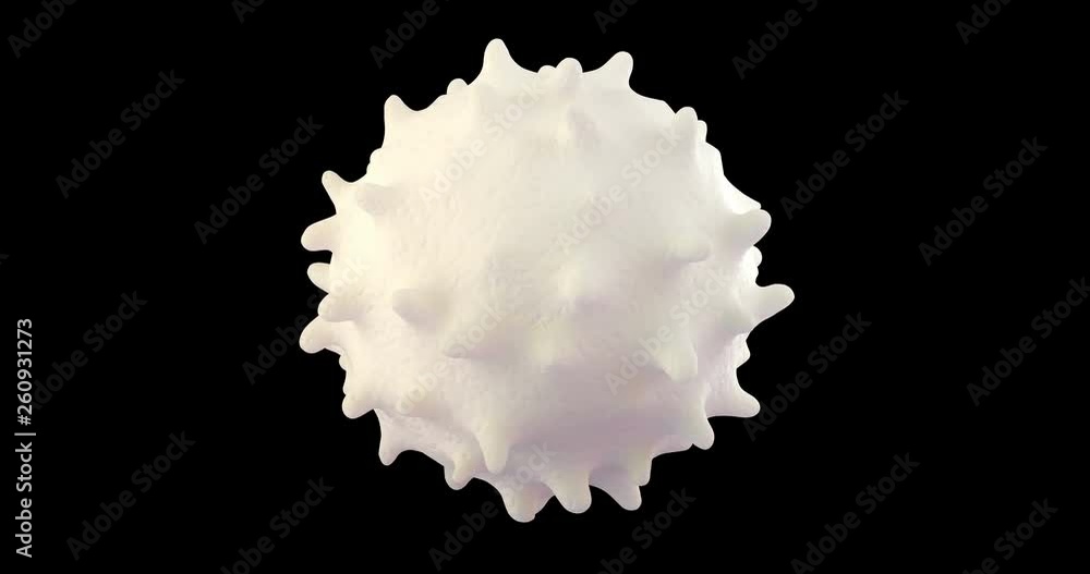 3D animation of white blood cell