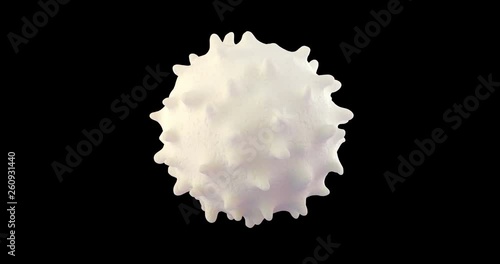 3D animation of white blood cell