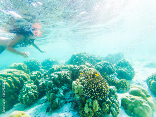 woman snorkeling in crystal clear tropical waters