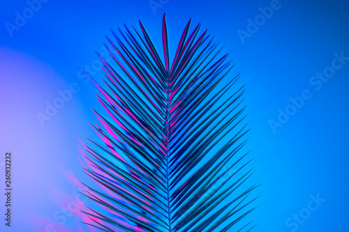 Bright tropical leaves of paradise, palm leaves in neon light