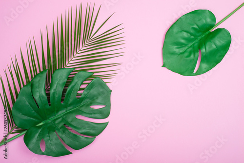 Creative layout made of colorful tropical leaves on pink background. Minimal summer exotic concept with copy space.