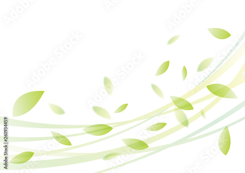 葉　風　夏　背景　緑