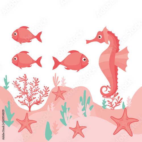 pattern seahorse and seaweed isolated icon