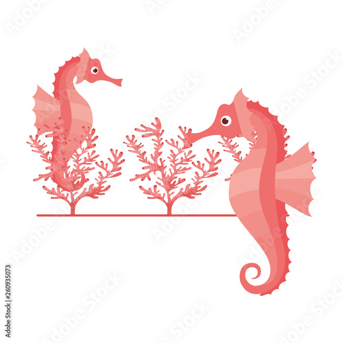 seahorse pattern isolated icon