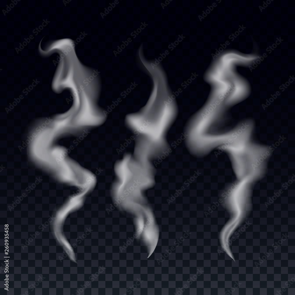 Fototapeta premium Realistic Steam Smoke Waves Set. Vector Template Transparent Texture of Cigarette Smoke. Hot Steam Illustration Concept