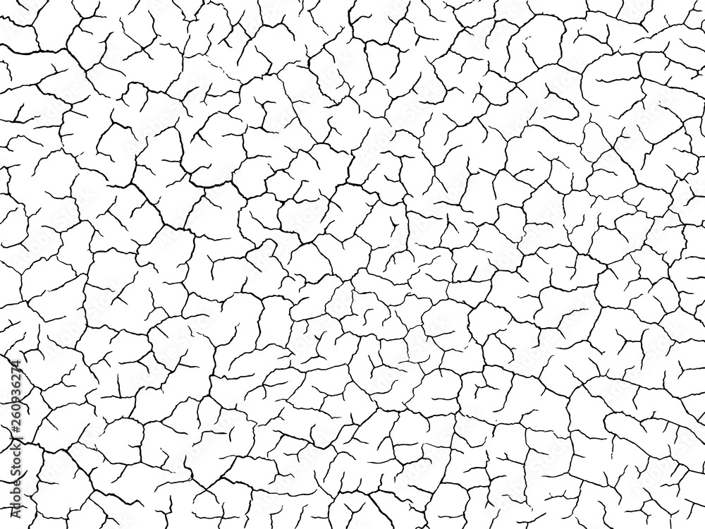 The cracks texture white and black. Vector background.Cracked earth. Structure of cracking. Cracks in dry surface soil texture. shards The cracks texture white and black. Vector background.Cracked earth. Structure of cracking. Cracks in dry surface soil texture. shards
