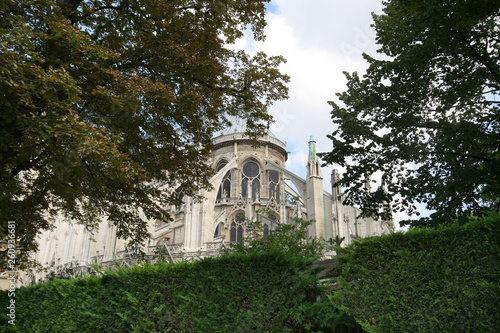 Katadra Notre Dame w Paryżu
