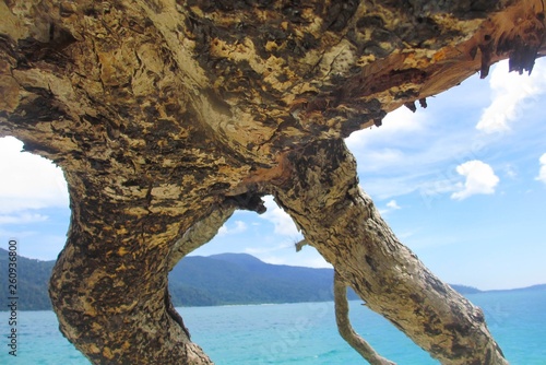 The Beach on Thailand