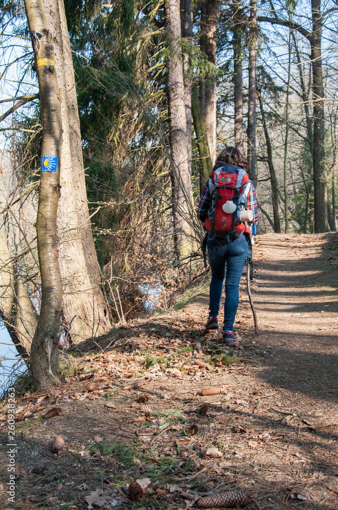 Naklejka premium Pilgrim on the trail of St. James, Pilgrim, Wanderer with a backpack and a shell