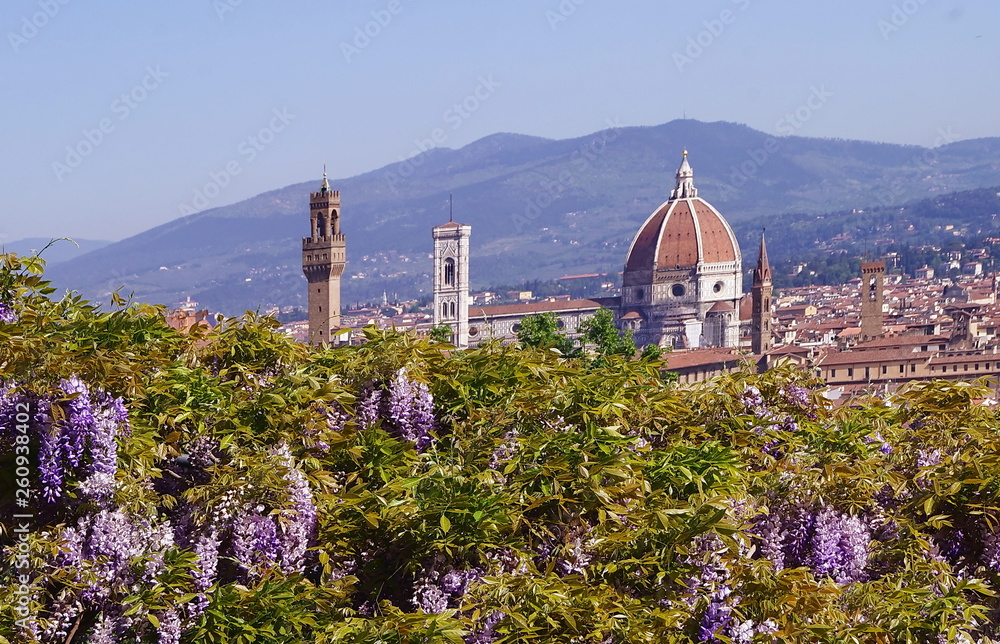 View of Florence in spring from Bardini garden, Italy