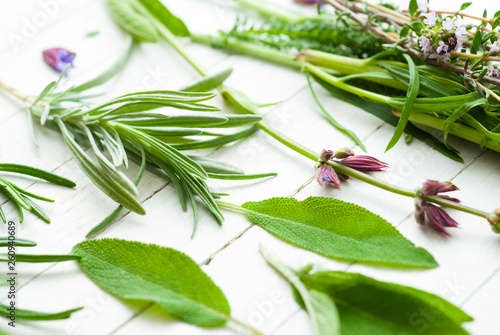  Herb and spice plants at spring