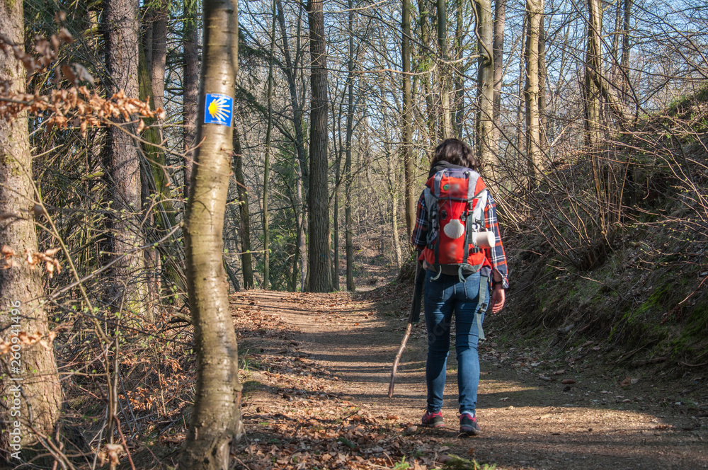 Pilgrim on the trail of St. James, Pilgrim, Wanderer with a backpack and a shell Pilgrim on the trail of St. James, Pilgrim, Wanderer with a backpack and a shell