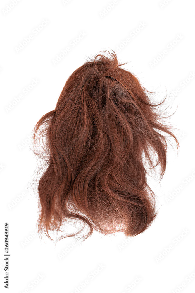 Very disheveled henna hair isolated on white background. Bad hair day clipart. Back view Very disheveled henna hair isolated on white background. Bad hair day clipart. Back view