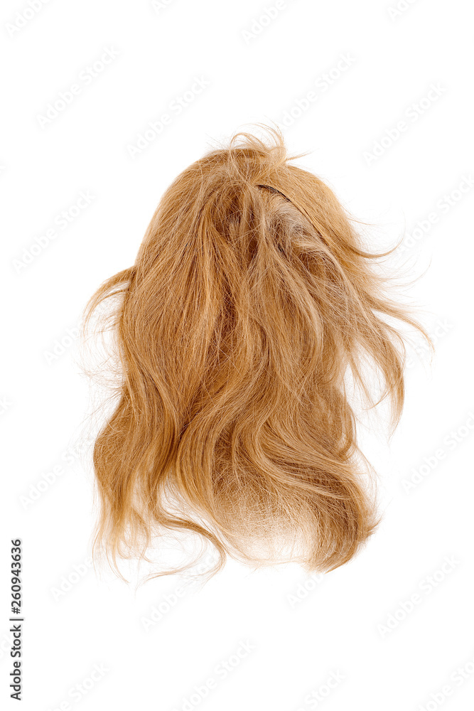 Naklejka premium Very disheveled blond hair isolated on white background. Bad hair day clipart. Back view