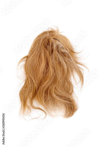 Very disheveled blond hair isolated on white background. Bad hair day clipart. Back view