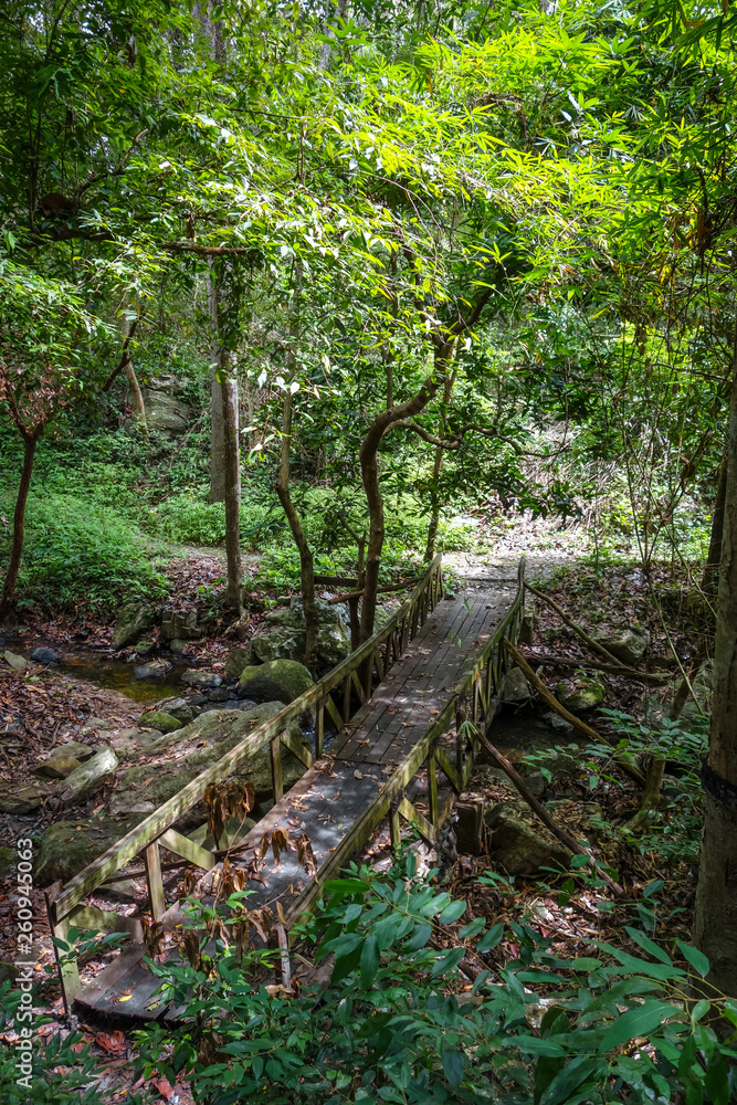 Old wooden bridge in jungle, Chiang Mai, Thailand Old wooden bridge in jungle, Chiang Mai, Thailand