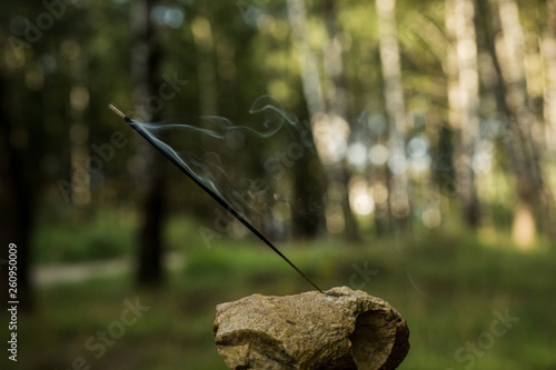 Indian incense lit smoking stick against the forest. Blurred texture in the background.