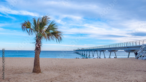 Puente marino