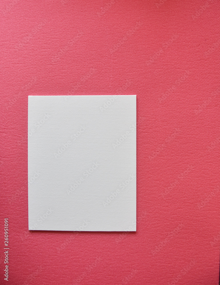 Fototapeta premium white primed canvas on pink background