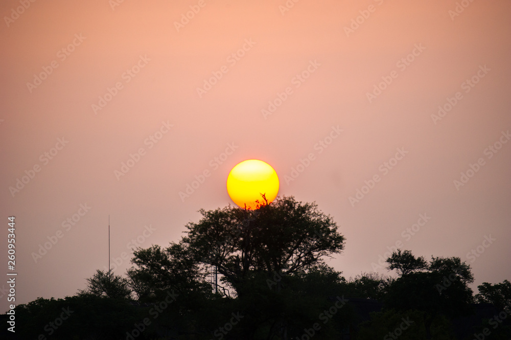 Sunset Over Trees In Africa