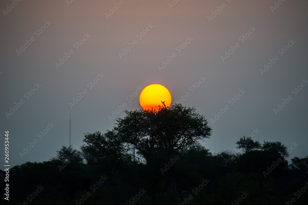 Sunset Over Trees In Africa